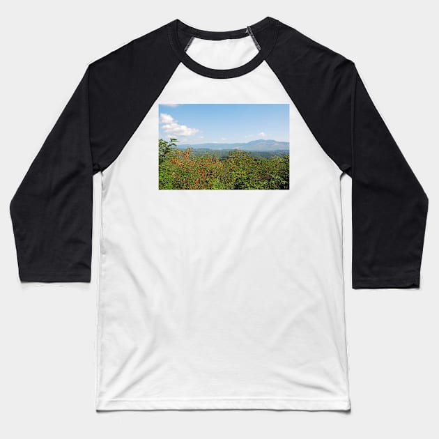 Landscape Around Gracisce Baseball T-Shirt by jojobob